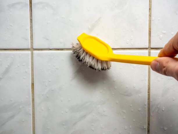 Best Health and Safety Mold Remediation in East Quincy, CA