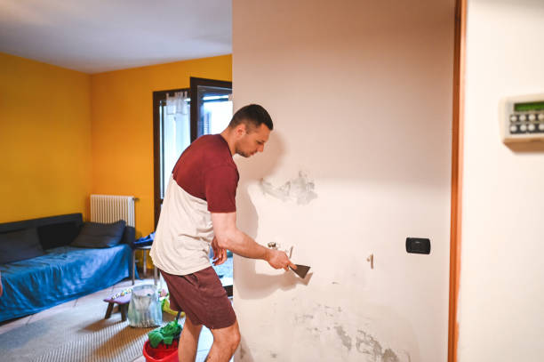 Best Post-Remediation Services in East Quincy, CA
